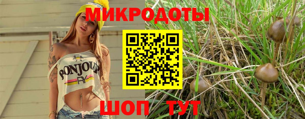 где купить наркотик  Псилоцибиновые грибы Psilocybe  Вход с VPN  Ленинск-Кузнецкий 