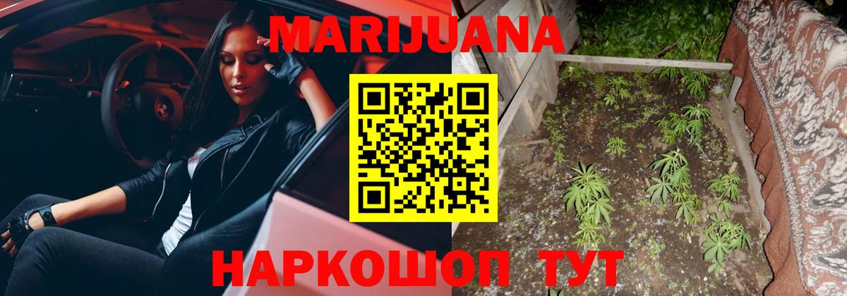 Бошки Шишки OG Kush  Марихуана семена  Вход с VPN  Каннабис Bruce Banner  Ленинск-Кузнецкий  Шишки марихуана марихуана 
